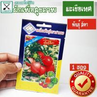 ราคา เมล็ดพันธุ์ มะเขือเทศ พันธุ์สีดา 1 ซอง เมล็ดพันธุ์ผักเพื่อสุขภาพ เมล็ดพันธุ์คุณภาพ เมล็ดพันธุ์ตราสามเอ (1903182269)