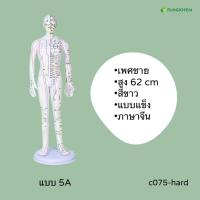ราคา หุ่นจำลองจุดฝังเข็ม ขนาด 52 54 62cm หุ่นจำลองฝังเข็มได้ งานละเอียดพิเศษ Acupuncture Model By Fangkhem (20813476392)