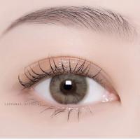 ราคา คอนแทคเลนส์ Mini Ava Gray Brown Kitty Kawaii ขนาดมินิ (17199655618)
