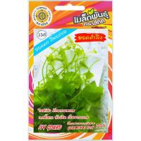 ราคา เมล็ดพันธุ์ ยอดตำลึง ตราสี่ทิศ (20879810129)