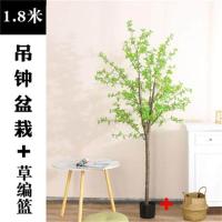 ราคา ดอกไม้ประดิษฐ์พืชสีเขียวการตกแต่งสไตล์นอร์ดิกระฆังสไตล์ญี่ปุ่นของตกแต่งห้องนั่งเล่นในร่มม้าต้นไม้ปลอมกระถางต้นไม้จากพื้นดิน (19738166160)