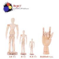 ราคา Project Manikin หุ่นไม้จำลอง และ หุ่นมือไม้จำลอง (19590192372)