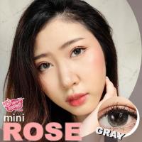 ราคา Mini rose gray by kawaii ลุ๊คธรรมชาติหวานละมุน สีเทาอ่อน (11055007591)
