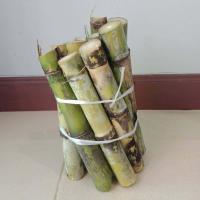 ราคา ท่อนพันธุ์อ้อยสุพรรณบุรี50 พันธุือ้อย อ้อยคั้นน้ำ ยาวท่อนละ2 3 ข้อตา 10ท่อน 1แพค (2967492139)