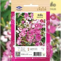 ราคา เมล็ดพันธุ์ ดอกผีเสื้อ ตราเจียไต๋ (19684260290)