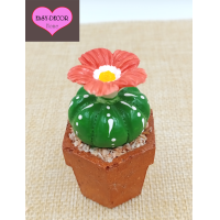ราคา กระบองเพชรเซรามิก กระบองเพชรปลอม แคคตัสเซรามิก เซรามิค จัดสวนถาด สวนถาด ของตกแต่งบ้าน จัดสวนจิ๋ว ของจิ๋ว ราคาต่อ 1 อัน (16756767166)