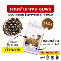 ราคา กาแฟคั่ว โรบัสต้า เขาทะลุ ชุมพร เกรดพรีเมี่ยม ถุง 250g (20780174788)