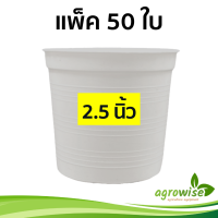 ราคา กระถางพลาสติก กระถางปลูกต้นไม้ กระถางต้นไม้พลาสติก กระถางขาว 50 ชิ้น 2 5 นิ้ว สีขาว กระบองเพชร (13245075134)