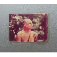 ราคา รูปถ่ายหลวงปู่ชา วัดหนองป่าพง ขนาดสูง3 5 x 5 ซ ม ยุคประมาณปี 251 กว่า ไม่เกิน 2524 สภาพสวยค่ะ (7997420277)