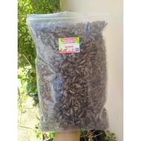 ราคา สะดิ้งอบแห้ง1kg อาหารแฮมส์เตอร์ อาหารชูก้า เม่นแคระ และสัตว์กินแมลงทุกชนิด อาหารเสริมโปรตีนสูง หอมอร่อย (20294239645)