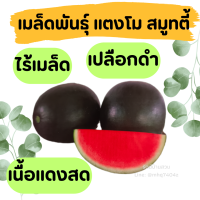 ราคา เมล็ดพันธุ์ แตงโม สมูทตี้ ไร้เมล็ด เปลือกดำ เนื้อแดงสด 10 เมล็ด ตราเจียไต๋ แตงโมไร้เมล็ด (21325966363)