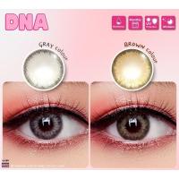 ราคา wink lens ตาโต รุ่น DNA สีน้ำตาล สีเทา (18745296300)