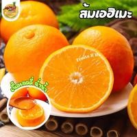 ราคา ส้มเอฮิเมะ เนื้อเยลลี่ หวานอร่อย (20830984366)