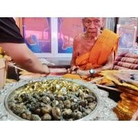 ราคา เบี้ยแก้ หลวงพ่อพัฒน์ วัดห้วยด้วน จังหวัดนครสวรรค์ หลังฝังตะกรุด พุทธคุณยากที่จะอธิบาย (21123282251)