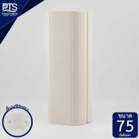 ราคา รางครอบท่อ รางครอบท่อแอร์ รางครอบท่อน้ำยาแอร์ ขนาด 75 มิลลิเมตร DAI SU 1 เมตร (20812368004)