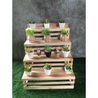 ราคา ชั้นวางของโชว์สินค้า ชั้นขั้นบันได ชั้นวางต้นไม้แคทตัส ทำจากไม้สักแท้ มีบริการเก็บเงินปลายทาง (9894665483)