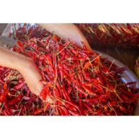 ราคา พริกจินดา พริกแห้ง พริกแห้งศรีสะเกษแท้ ทำพริกป่น พริกส้มตำ เผ็ด สะอาด ขนาด ครึ่งกิโลกรัม ผลิตพรรณชาวบ้าน ศรีสะเกษ (20767358630)