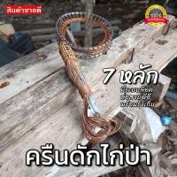 ราคา ครืนดักไก่ 7 หลัก บ่วงดักไก่ป่า ที่ดักไก่ป่า กับดักไก่ป่า หลักกัลวาไนซ์ หลักยาว 7นิ้ว บ่วงกว้าง5นิ้ว สีดำ สีน้ำตาล (18881791721)