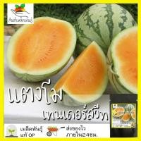 ราคา เมล็ดพันธุ์ แตงโม เทนเดอร์สวีท สีส้ม 10 เมล็ด Tender Sweet Orange Watermelon เมล็ดพันธุ์แท้ นำเข้าต่างประเทศ ปลูกง่าย (7772669184)