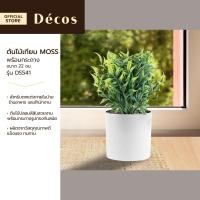 ราคา DECOS ต้นไม้เทียม พร้อมกระถาง 22 ซม MOSS รุ่น DS541 EA (18953739547)