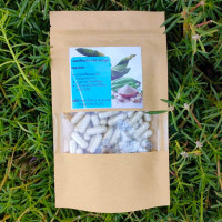 ราคา ผงกล้วยน้ำว้าดิบ บรรจุแคปซูล (21253653057)