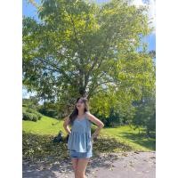 ราคา Alice เสื้อสายเดี่ยวคอวีผูกโบว์ชายระบายผ้าฝ้าย (21190043753)