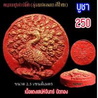 ราคา พญายูงคำ (19899811995)