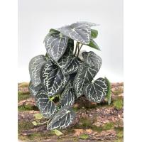 ราคา พร้อมส่ง ต้นไม้ปลอมสำหรับตกแต่งสวนต้นไม้ปลอมแขวนผนังลายนกยูงเต่าใบบีโกเนียบ้านระเบียงเถาดอกไม้สีเขียวกระถางหญ้า (19184334733)