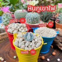 ราคา หินภูเขาไฟ หินพัมมิส Pumice จาก LOMBOK อินโดนีเซีย 1 กิโลกรัม (20878795394)