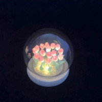 ราคา BHQ FU ทิวลิป DIY โคมไฟ Led โคมไฟของขวัญ ไฟกลางคืน ดอกไม้อมตะ (20281294131)