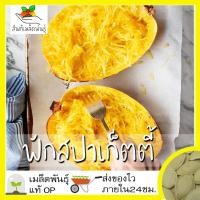 ราคา เมล็ดพันธุ์ ชุดฟักทอง ขายดี ผลใหญ่ ผลผลิตดี ฟักทองบัตเตอร์นัท ฟักทองบัตเตอร์คัพ ฟักสปาเก็ตตี้ ซูกินี่สีเหลือง พร้อมส่ง (10205520734)