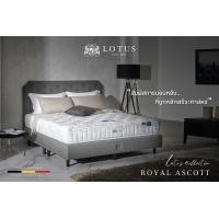 ราคา LOTUS ที่นอน สเปคสมดุลลงตัว รุ่น Royal Ascott หนา 10 นิ้ว ฟรี หมอนหนุนสุขภาพกันไรฝุ่น ส่งฟรี (16575775556)