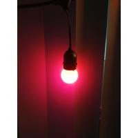 ราคา หลอดปิงปองหลอดใส หลอดขุ่น แสงวอร์ม หลอดสี LED 3W ขั้วE27 จำนวน 5 100 หลอดไฟเป็นPVCตกไม่แตก หลอดไฟปิงปอง หลอดไฟสี (20960699619)