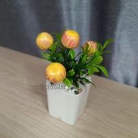 ราคา ต้นไม้ผลไม้มงคล ต้นไม้ปลอม 39 บาท 3 ต้น 100 บาท เสริมโต๊ะทำงาน ต้นส้ม ต้นแอปเปิ้ล ต้นทับทิม (14921298012)