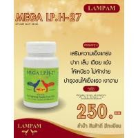 ราคา lph27ลำปำไก่ชน ตัวแทนจำหน่ายลำปำฟาร์ม รับสินค้าจากบริษัทโดยตรง รับประกันของแท้ รับประกันคุณภาพ kaichonheng (20597951479)