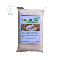 ราคา ดอกเกลือแท้ 100 Fleur de sel ใช้ปรุงรส รสชาติกลมกล่อม ไม่เค็มจัดขนาด 1000 กรัม (12202619984)