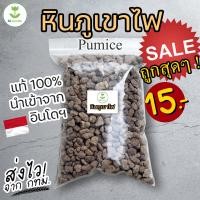 ราคา หินภูเขาไฟ Pumice เบอร์ 00 01 02 วัสดุปลูก รองก้นกระถาง บรรจุ 1 ลิตร 4ลิตร 14ลิตร (20540532914)