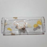 ราคา กล่องแว่นตาพลาสติกใส กล่องใส่แว่นตา ลายการ์ตูน (21096600230)