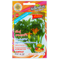 ราคา เมล็ดพันธุ์ ฟักทอง พันธุ์ยอดแม้ว ตราสี่ทิศ (20808716862)