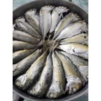 ราคา ปลาทูนึ่ง ปลาทูประจวบ 350 กรัม กล่องละ 6 ตัว ราคายังไม่รวมค่าจัดส่ง ทักแชทร้านก่อนจ่ายเงิน (9477435226)