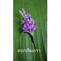 ราคา ดอกไม้เสียบผม ช่อดอกกันเกรา ดอกไม้ดินประดิษฐ์ (20854030380)