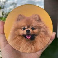 ราคา มีกล่องทุกชิ้น ที่รองแก้ว แผ่นหินรองแก้ว จานรองแก้ว ลายแมว จานรองแก้วแมว (16543300576)