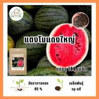 ราคา เมล็ดพันธุ์ แตงโมแดงใหญ่ บรรจุ 100 เมล็ด (21035726352)