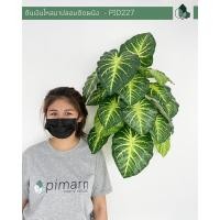 ราคา ต้นไม้ปลอม ต้นไม้ประดิษฐ์ ต้นเงินไหลมาปลอมติดผนัง พร้อมกระถางติดผนัง ไม่ต้องเจาะผนัง (7633250673)