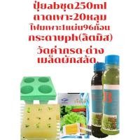 ราคา ปุ๋ยไฮโดรโปนิกส์ ปุ๋ย A 250 ML B 250ML ปุ๋ยน้ำ ปุ๋ยเอบี ปุ๋ยผักสลัด ปุ๋ยผักHydroponics สูตรปรับปรุงใหม่ปุ๋ย AB ชุด 250ml และชุดปลูกผักไฮโดโปรนิกส์ (9277660198)