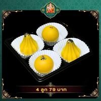 ราคา ขนมลาด โมทกะสูตรอินเดีย 4 ลูก ขนาด 20 กรัม ถวายองค์พระพิฆเนศ ขนมถวายพระพิฆเนศ ขนมไหว้องค์พระพิฆเนศ (20499464013)