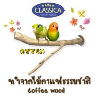 ราคา คอนยืนนก classica coffee wood คอนยืน ทำมือ จากไม้กาแฟธรรมชาติ คอนไม้สำหรับนก คอนเกาะสำหรับนกแก้ว อุปกรณ์ตกแต่งกรงนก (18304967022)