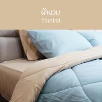 ราคา SANTA ชุด ผ้าปูที่นอน ผ้านวม ผ้าห่ม สีเขียว สีน้ำตาลอ่อน 3 5 5 6 ฟุต (5582428851)