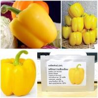 ราคา เมล็ดพันธุ์ พริกหวานสีเหลือง Golden Cal Wonder Sweet Pepper Seed 30 เมล็ด คุณภาพดี ราคาถูก ของแท้ (6474912827)
