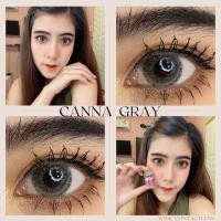 ราคา Canna glamour gray สีเทาฟุ้งลายชัด สีเทานัว (8913038914)
